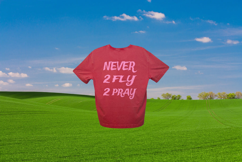 PINK NEVER 2 FLY TEE