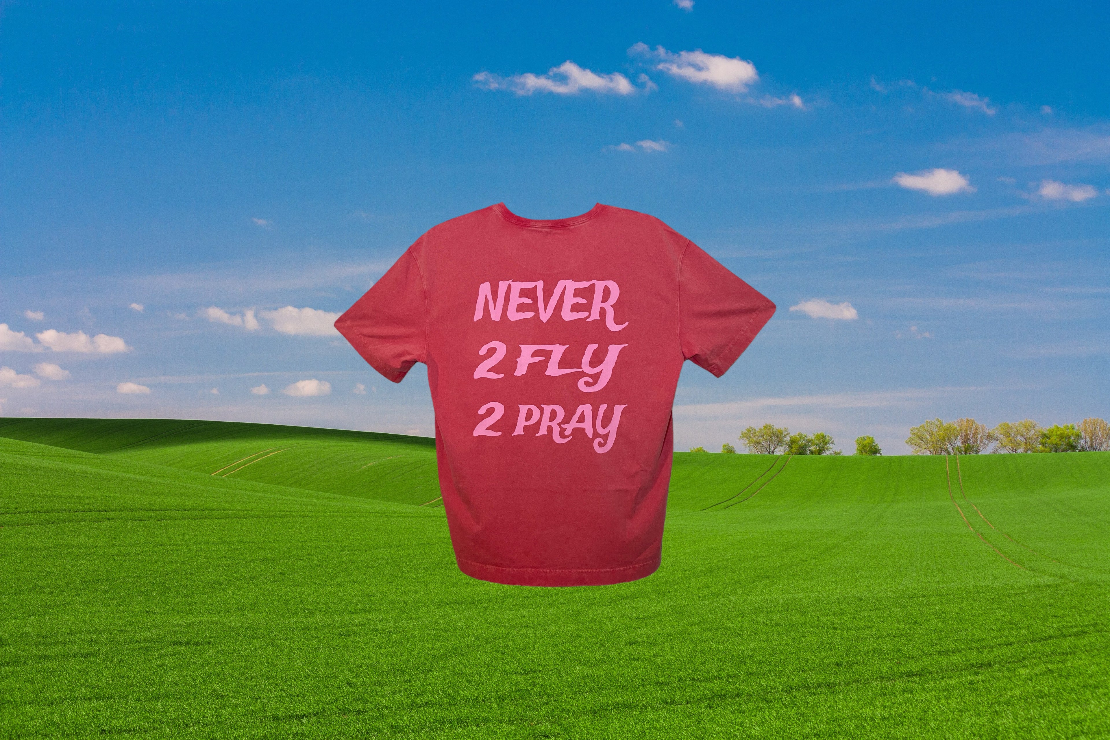 PINK NEVER 2 FLY TEE