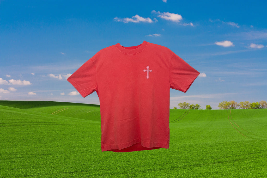 PINK NEVER 2 FLY TEE